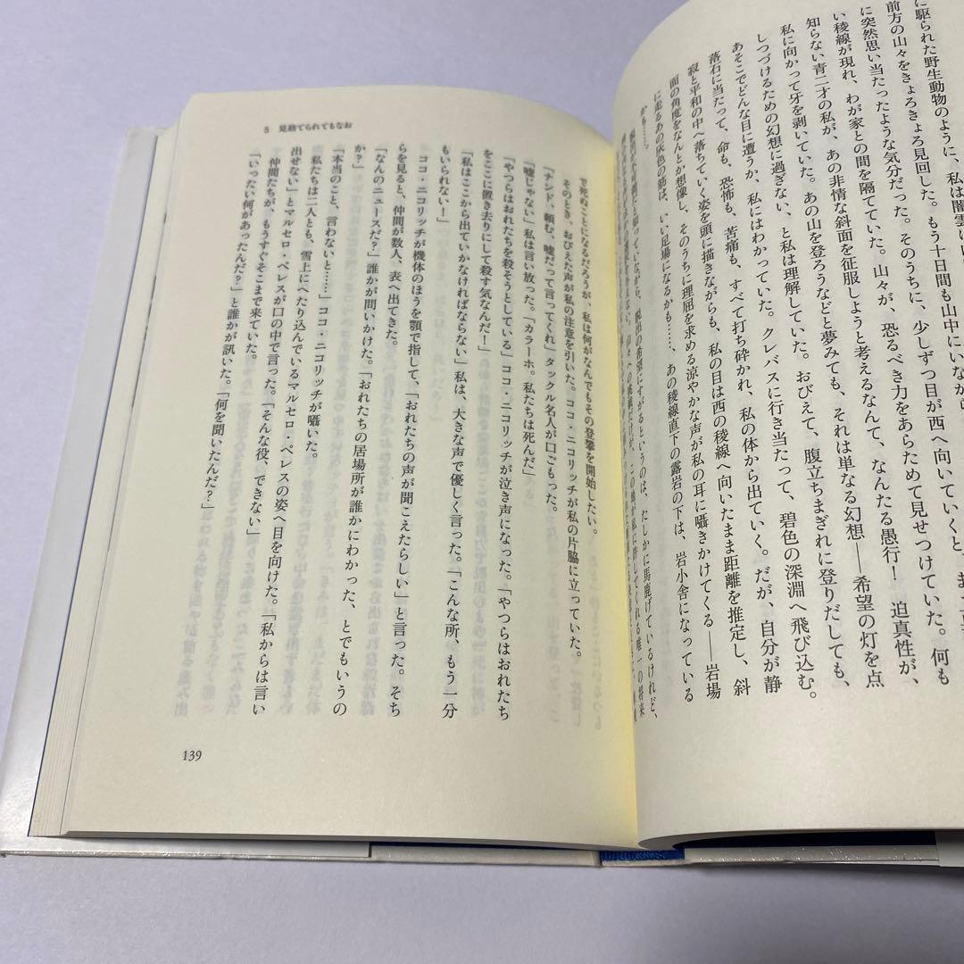 アンデスの奇蹟