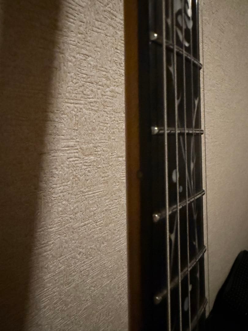 Ibanez アイバニーズ TOD10 Tim Henson