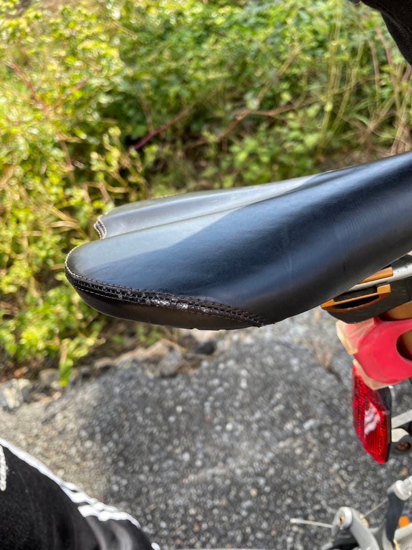 SCHNEIDER ロードバイク シルバー