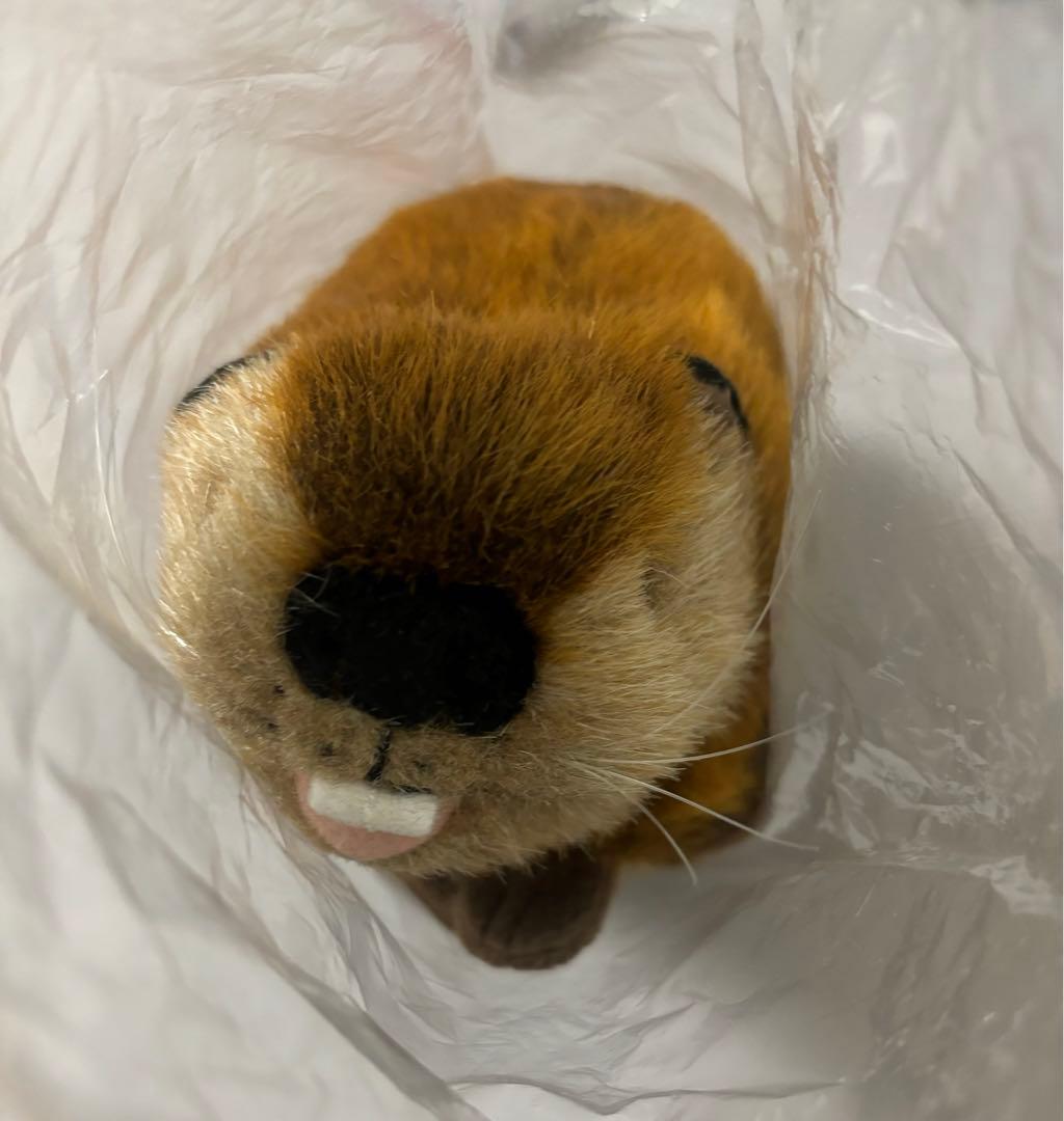 SUPER BEAVER スーパービーバーちゃん 未使用品