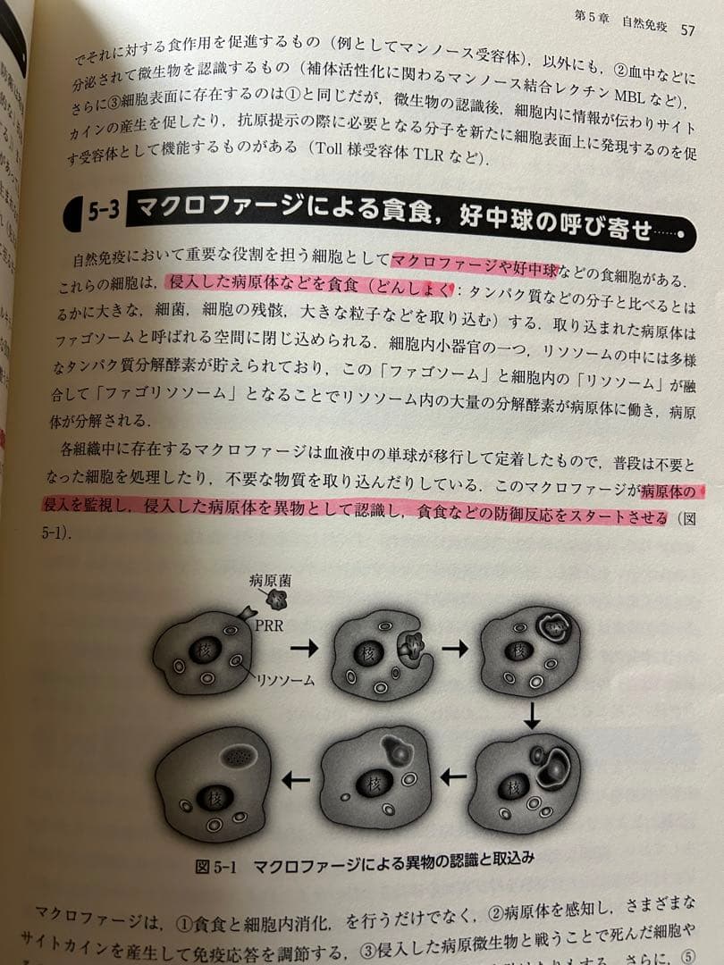 薬学部　教科書・参考書