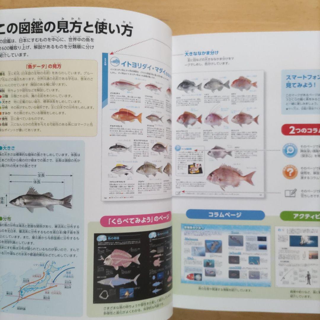 学研の図鑑LIVE（ライブ）魚・動物・人体・地球 新版4巻セット