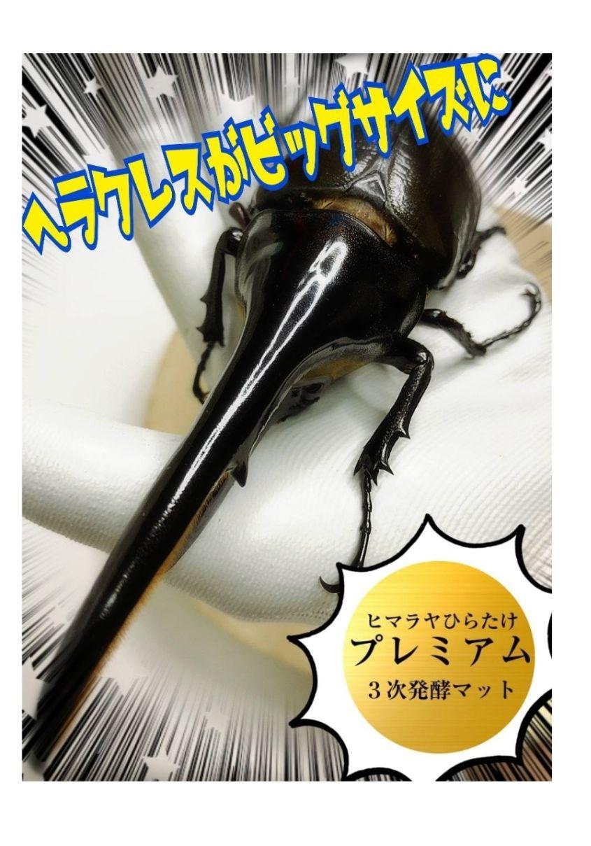 極上！プレミアム3次発酵ヘラクレスマット【80L】特殊アミノ酸強化配合！巨大化！