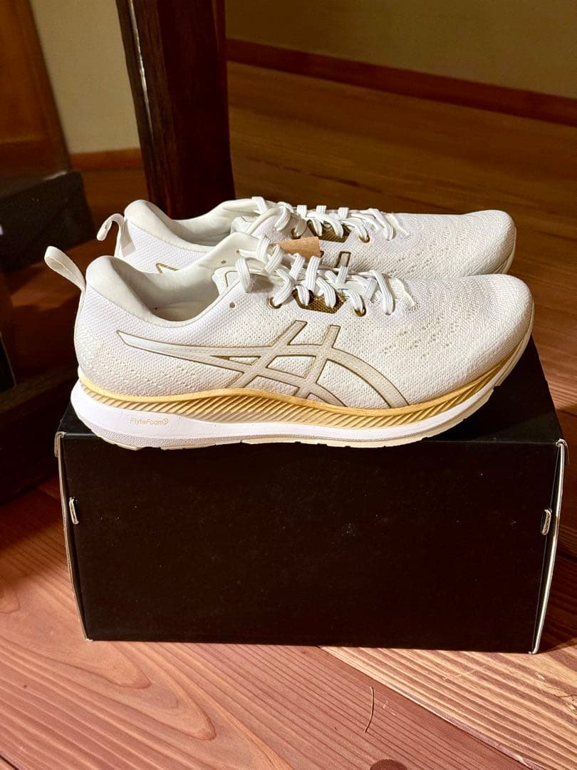 【新品未使用】アシックスasics EVORIDE ORPHE S 27.0cm