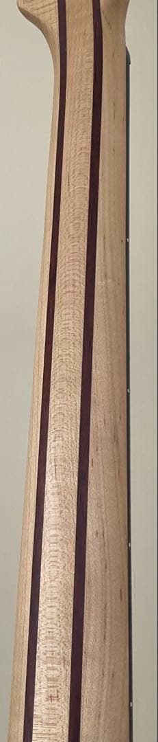 【送料込最終】Spector 5弦ベース【ストラップおまけ】