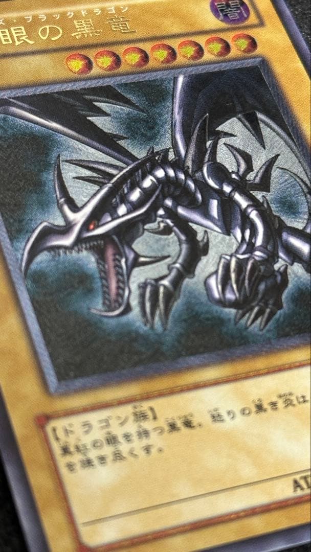 真紅眼の黒竜 レリーフ 遊戯王 301-056