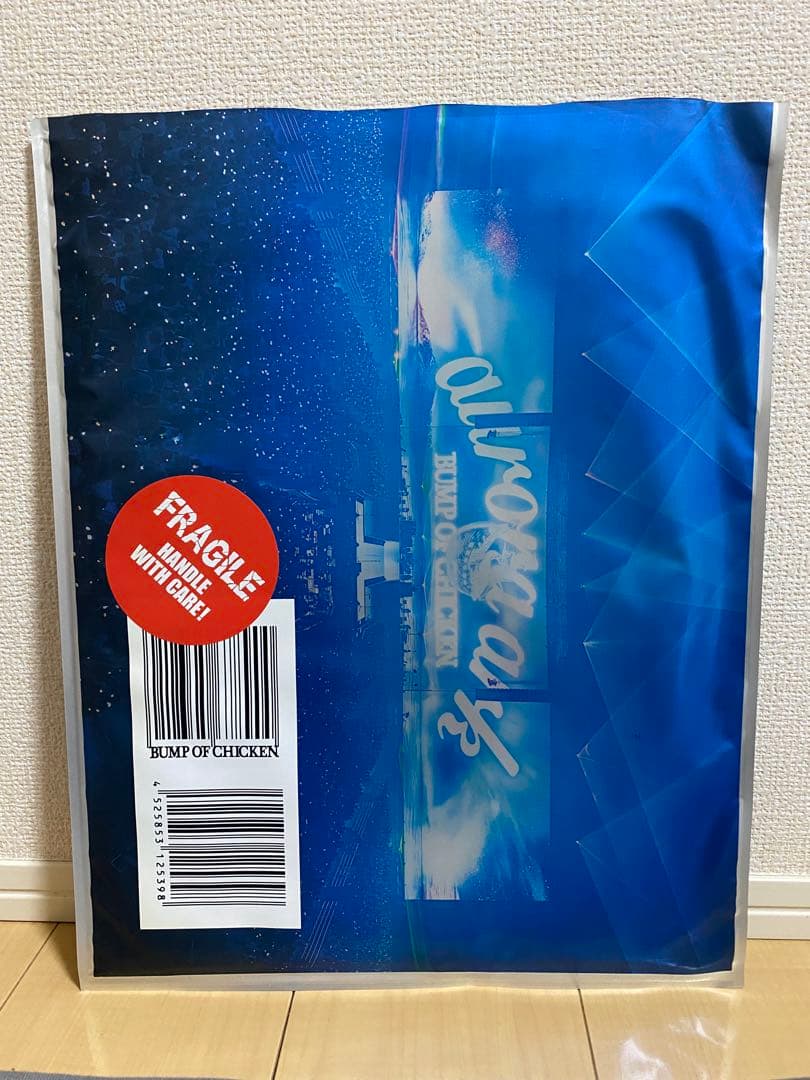 BUMP OF CHICKEN パンフレット クリアファイル