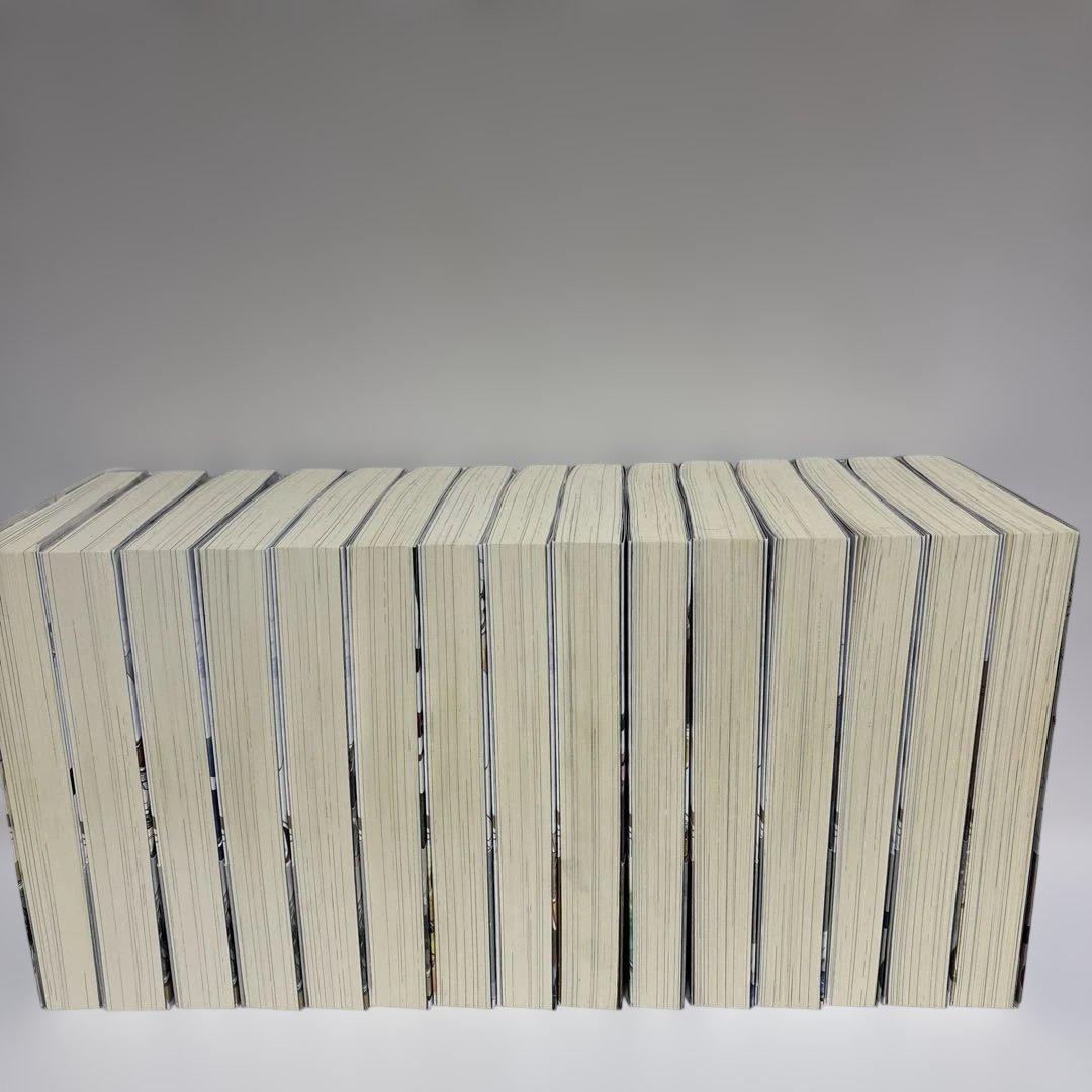 穏やか貴族の休暇のすすめ 小説 1～15巻 セット