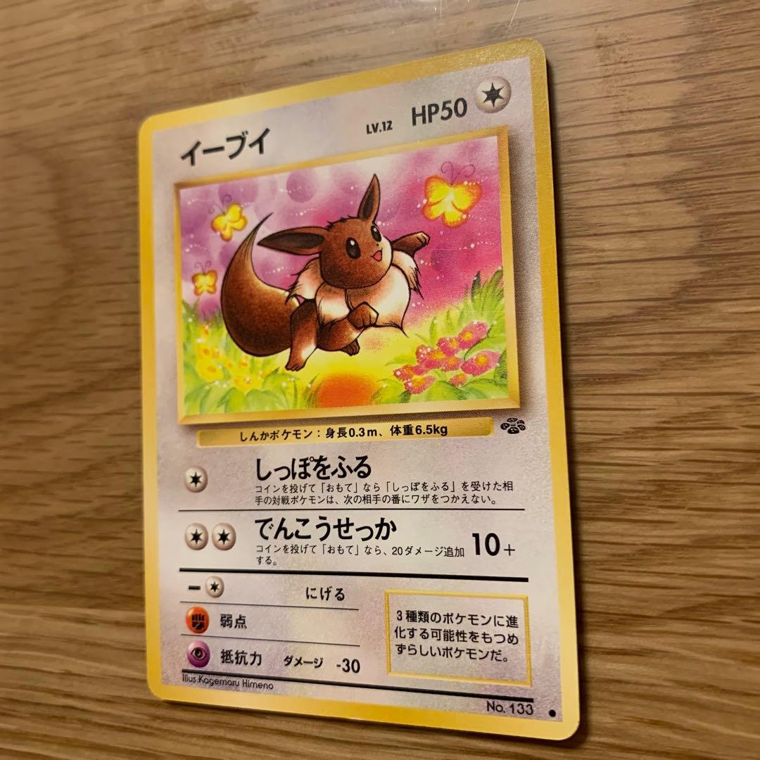 ブースター、イーブイまとめ売り