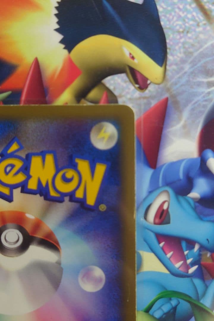 R団のエンテイ ★ ポケモンカード★VS 095/141