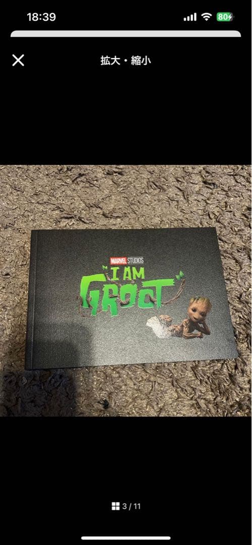 marvel プレリュード　パンフレット　まとめ　バラ売り可能 マーベル MCU