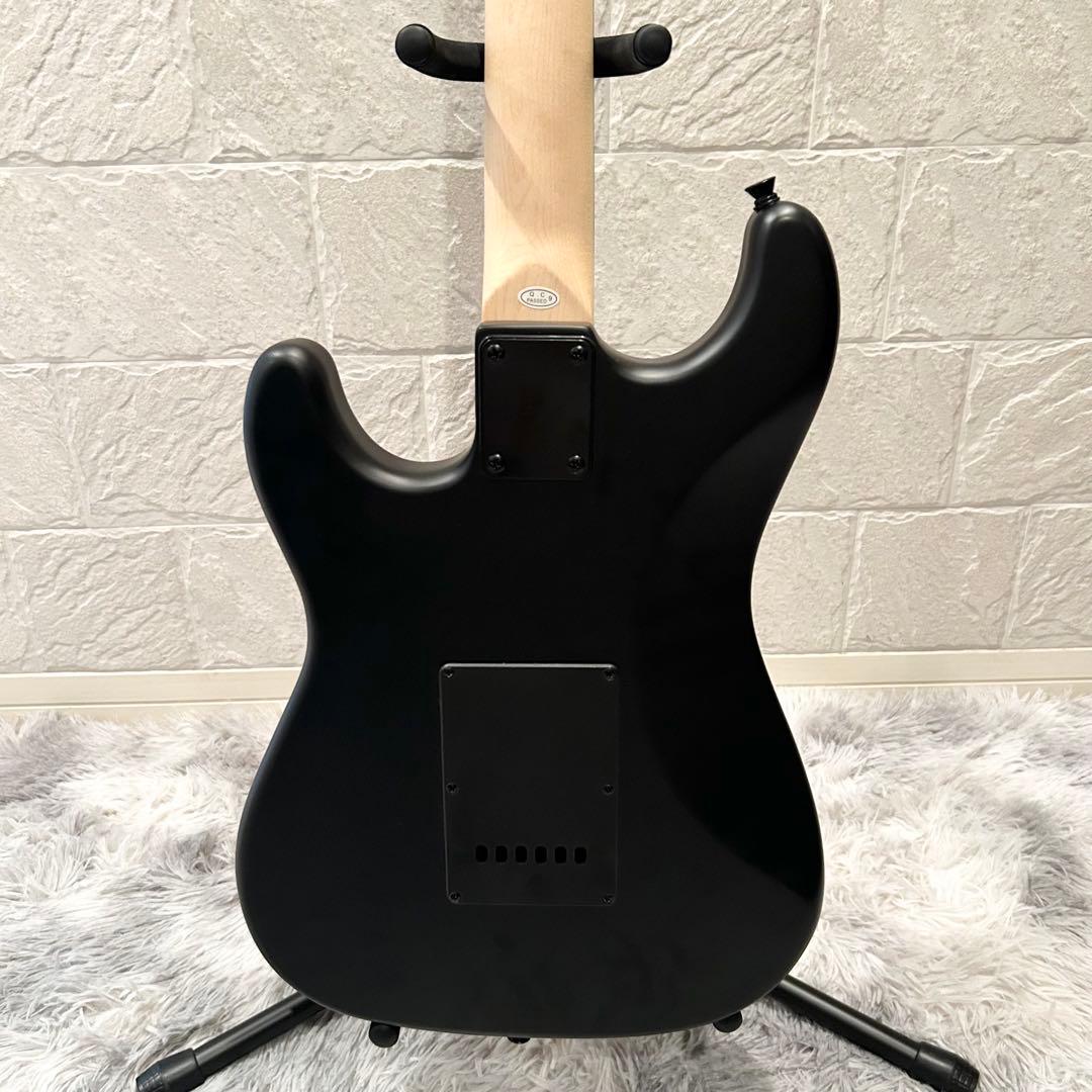 【ほぼ未使用品】SELDER セルダー エレキギター STC-04