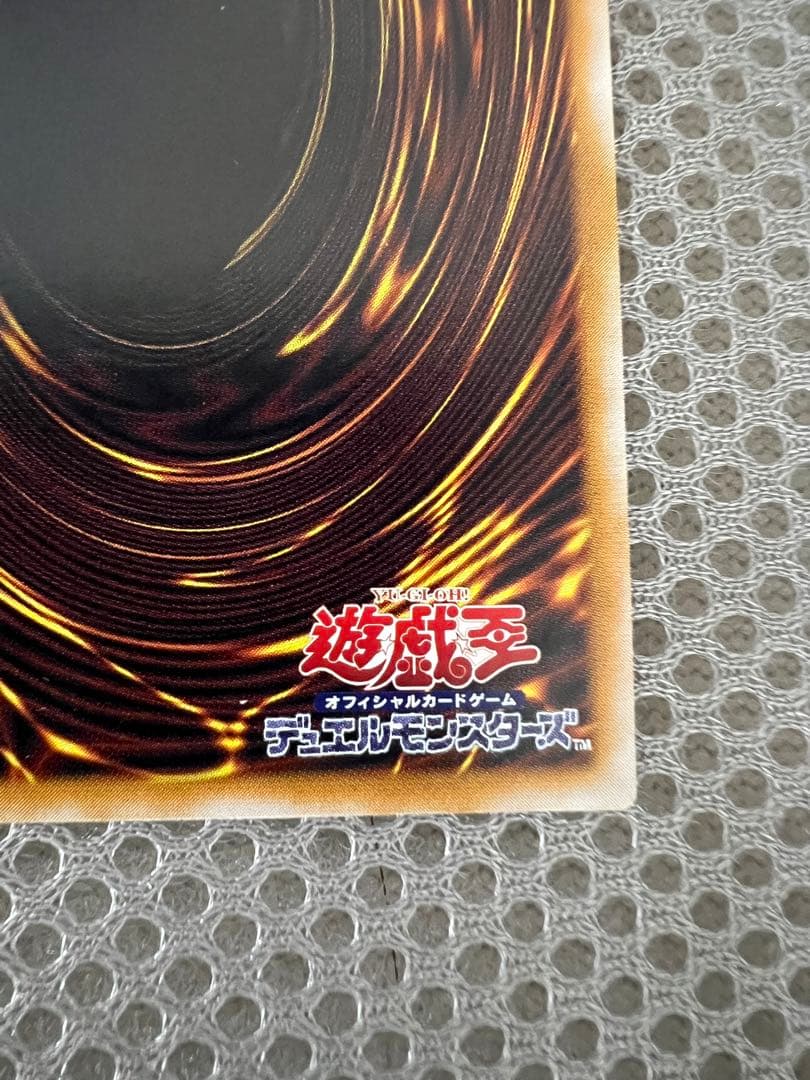 わ*な様 遊戯王 青眼の白龍 ブルーアイズホワイトドラゴン レリーフ レリブル