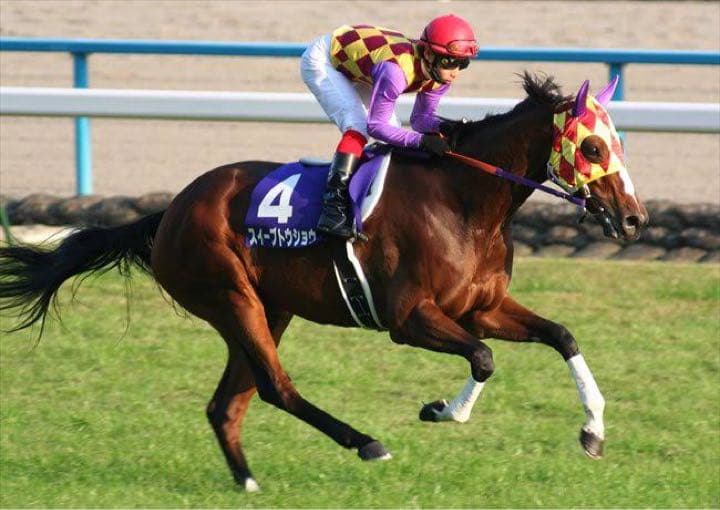 スイープトウショウ現地単勝馬券