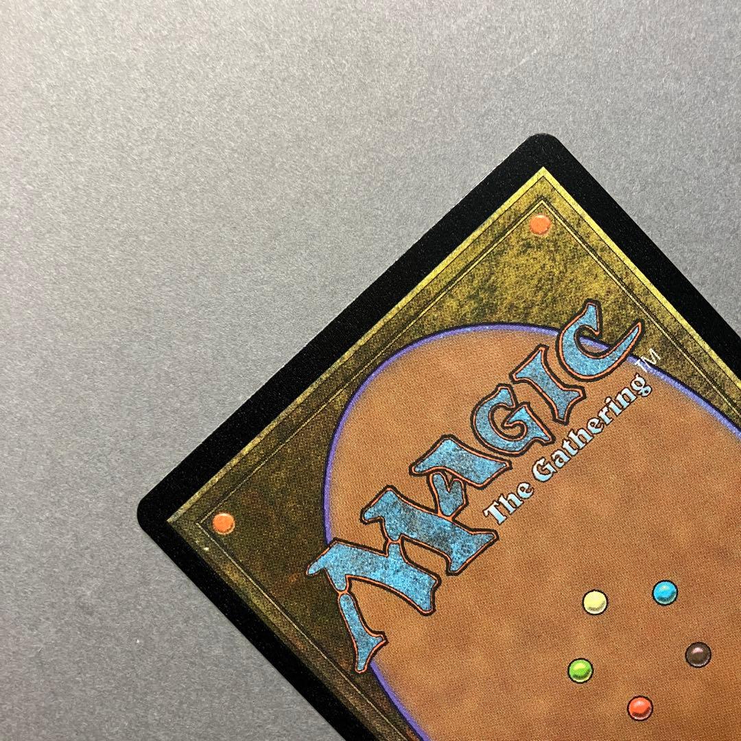MTG 不毛の大地 英語 ボーダーレス ハロー Foil