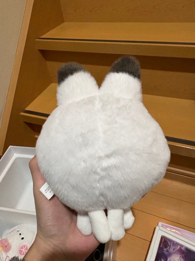 恋と深空 2024年度版 VIPギフトボックス