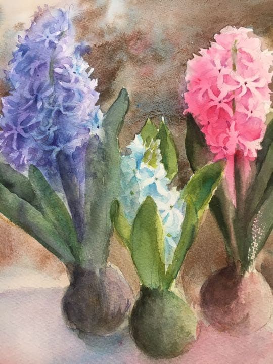 水彩画原画ヒヤシンス