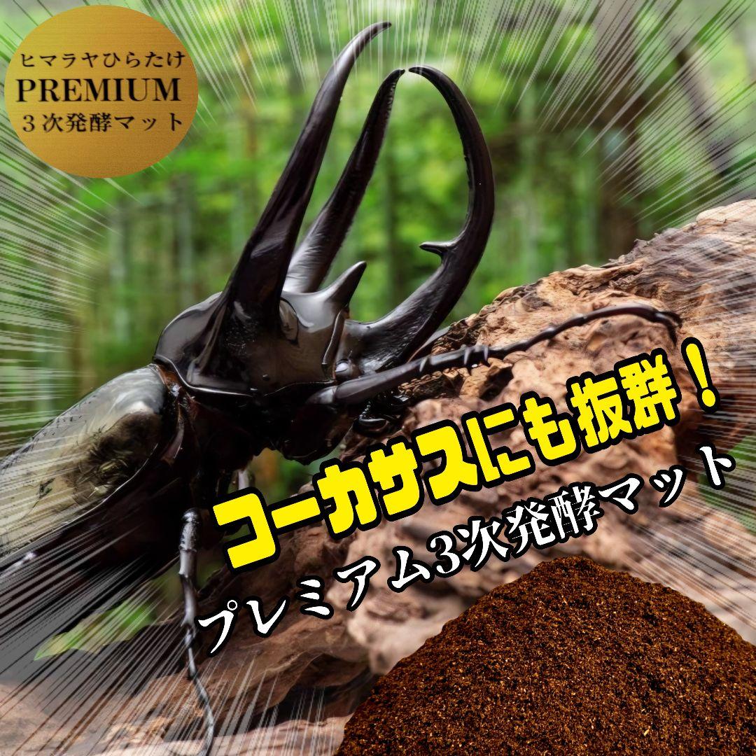 極上！プレミアム3次発酵カブトムシマット【40L】ヘラクレス181ミリ羽化実績！