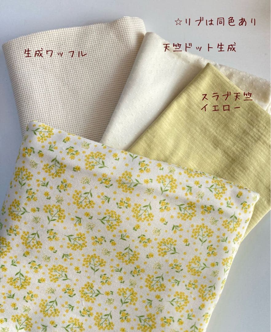 サラダページです　ダックスフンド　犬服　わんこ服　ロンパース　ミモザ　春