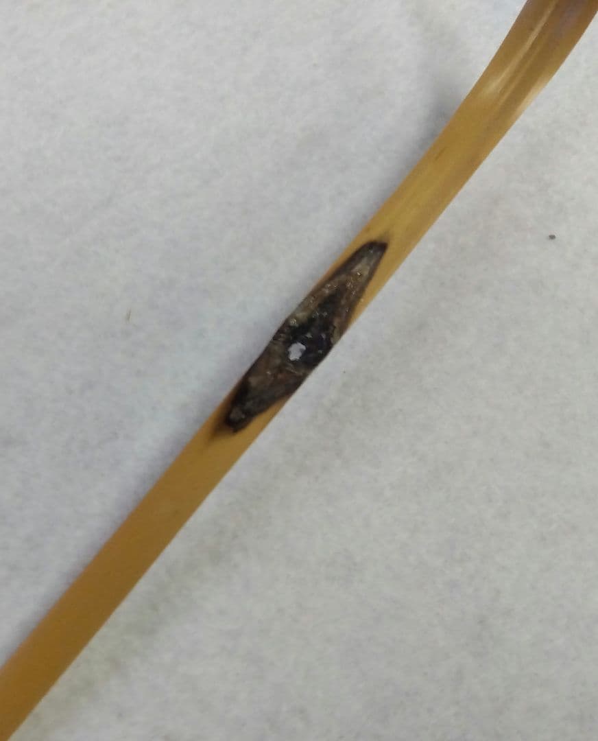 茶道具 茶杓 シュミ竹 染竹 虫喰 法谷文雅 銘 雪間の草 竹憲 京銘竹