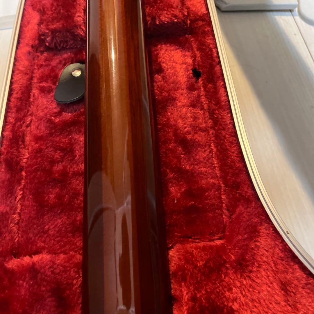 【良コスパ】Ibanez フルアコ AFC-151