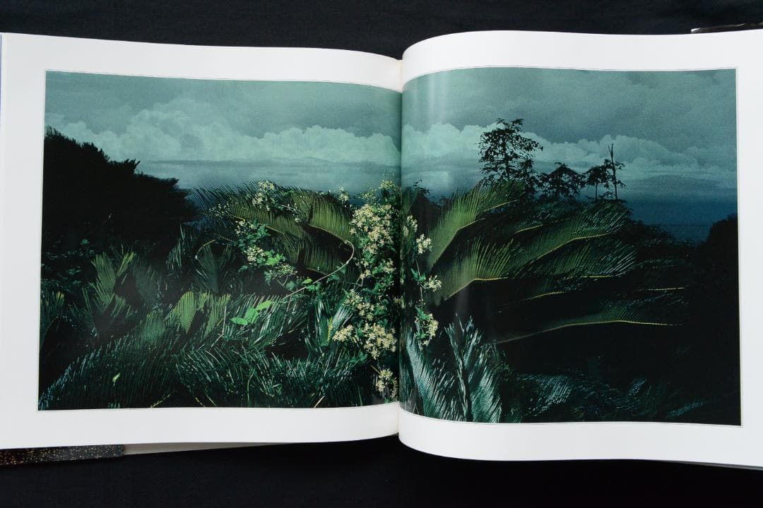 【花狩】山村雅昭写真集　1998年