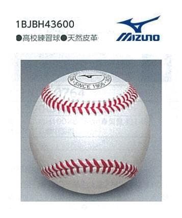 ミズノ 硬式ボール 練習球 高校野球 中学硬式 9個 1BJBH43600