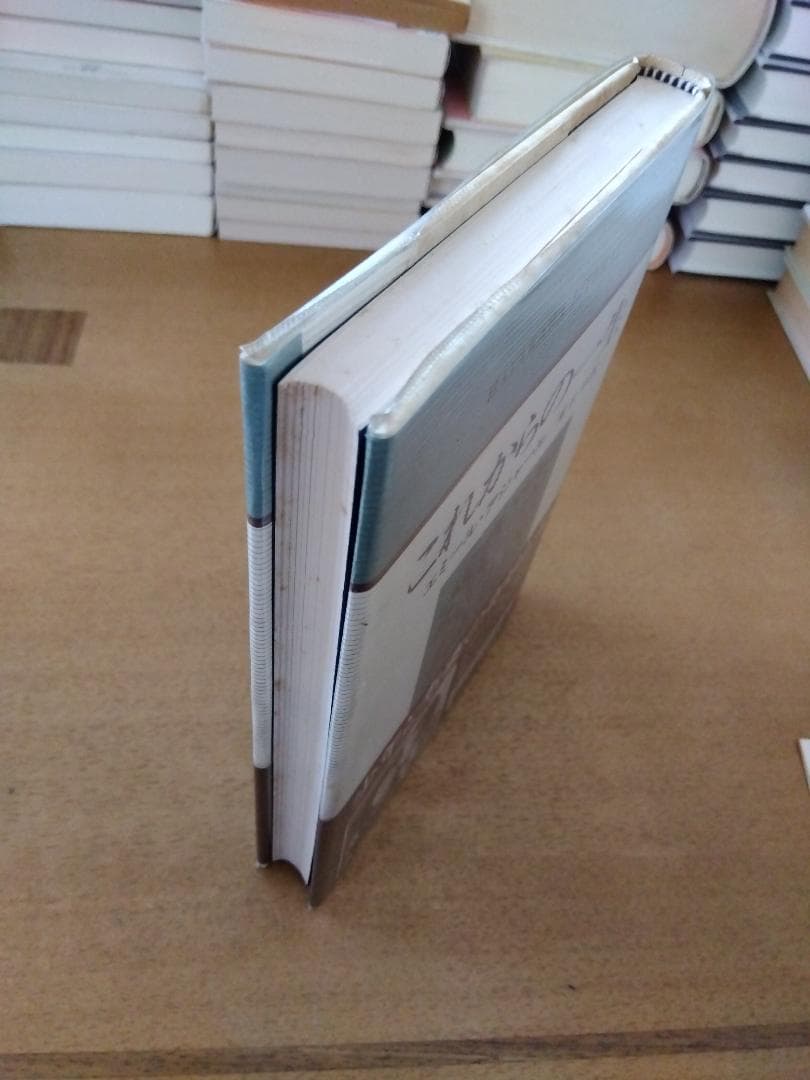 【初版帯ビニカバ付】エミール・アジャール「これからの一生」早川書房