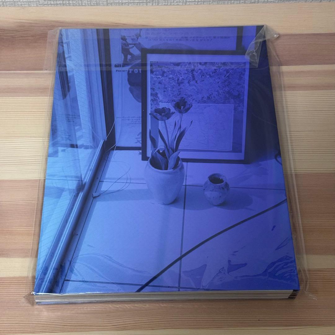 川島小鳥 仲野太賀 写真集 「(世界)2」