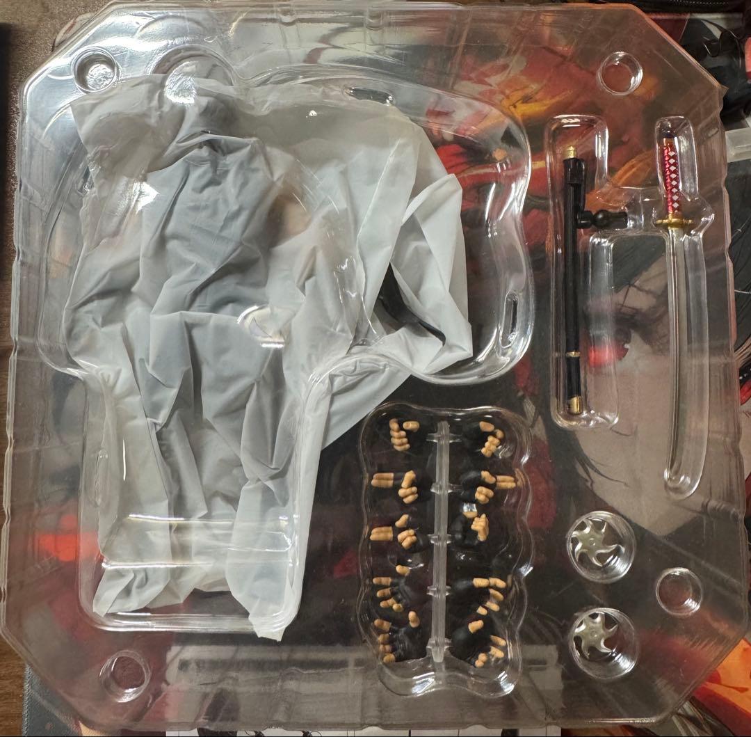 アメイジングヤマグチ リュウ・ハヤブサNINJA GAIDEN 【特典付き】