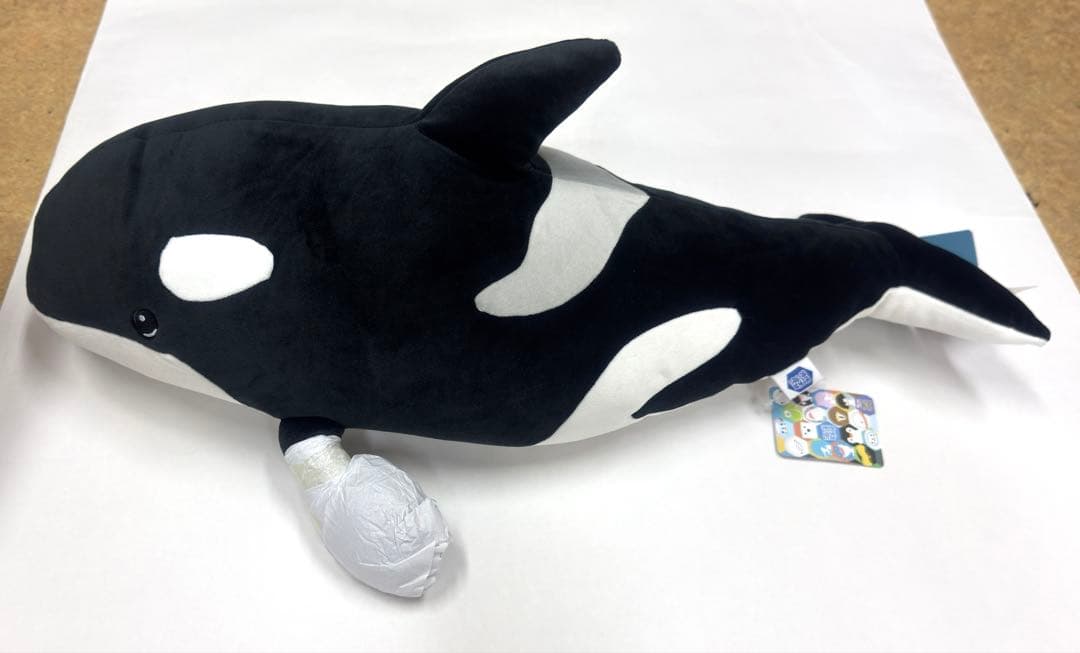 上海海昌海洋水族館 シャチ ぬいぐるみ 約60cm