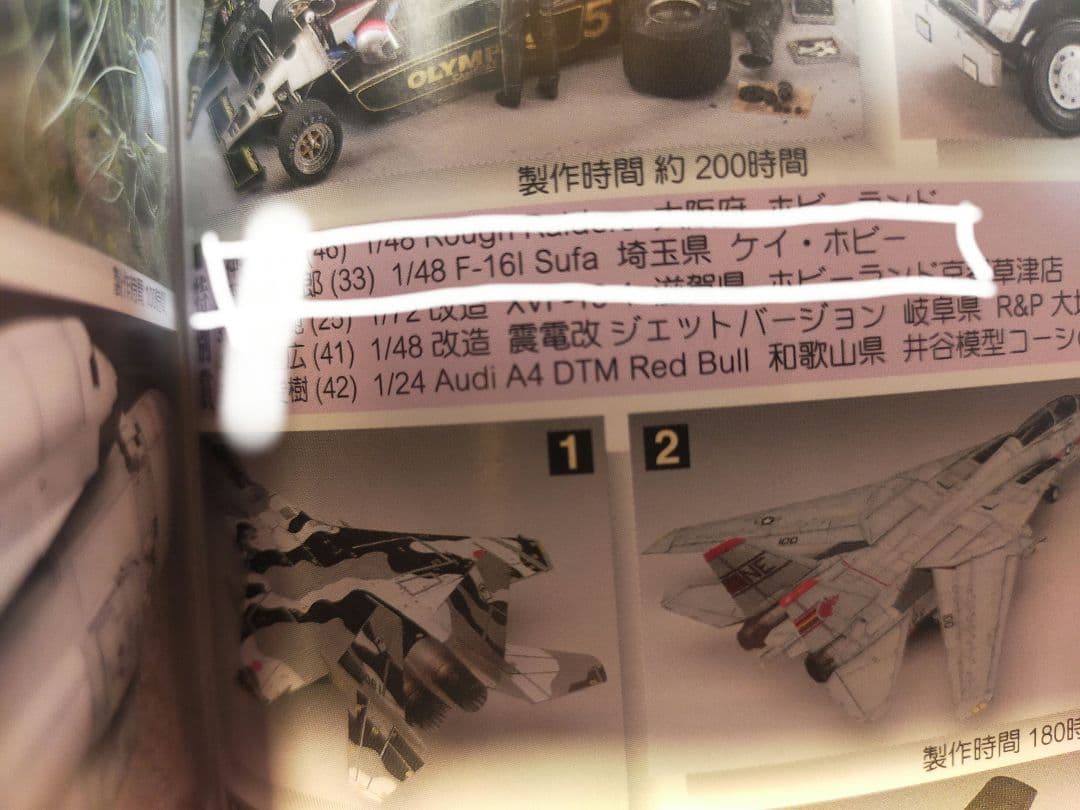 JMC2011入選作品　ハセガワ　1/48　F-16I　イスラエル空軍