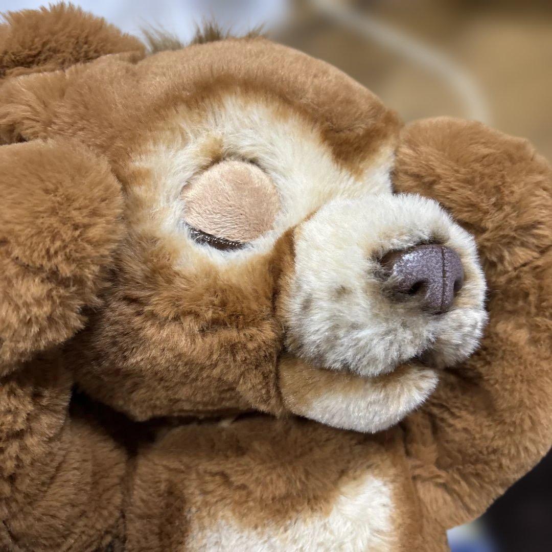 【廃盤品】レア ファーリアル 遊ぶのだいすき こぐまのカビー 動作確認済