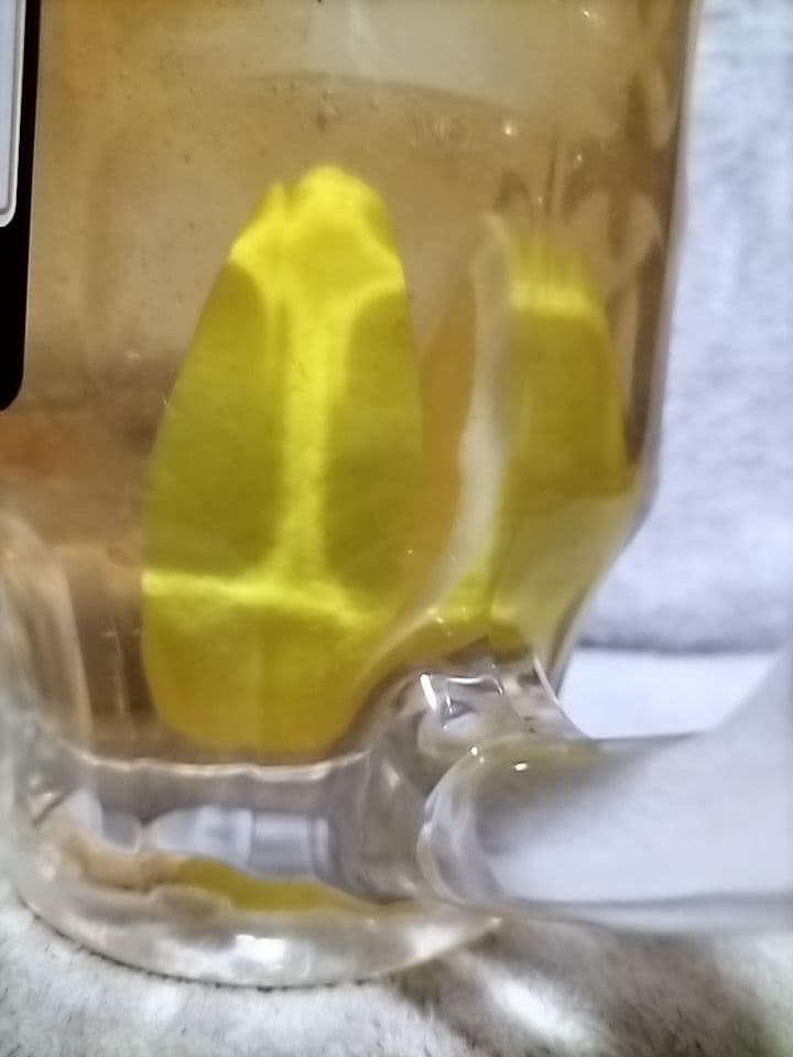 ジム・ビーム メガジョッキ ディスプレイ(食品サンプル)