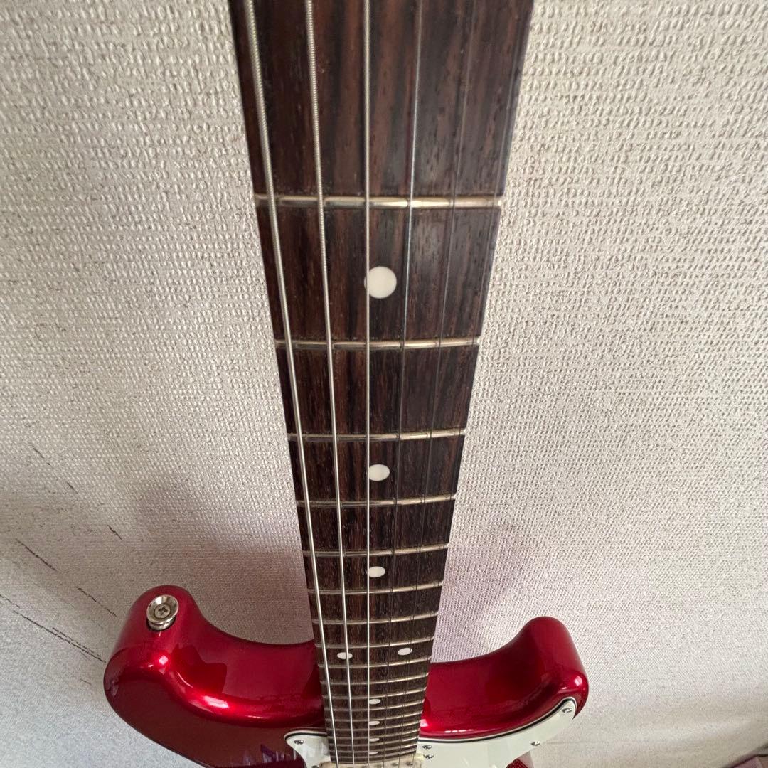 さ*こ様 Bacchas グローバルシリーズ　BST-500G CAR