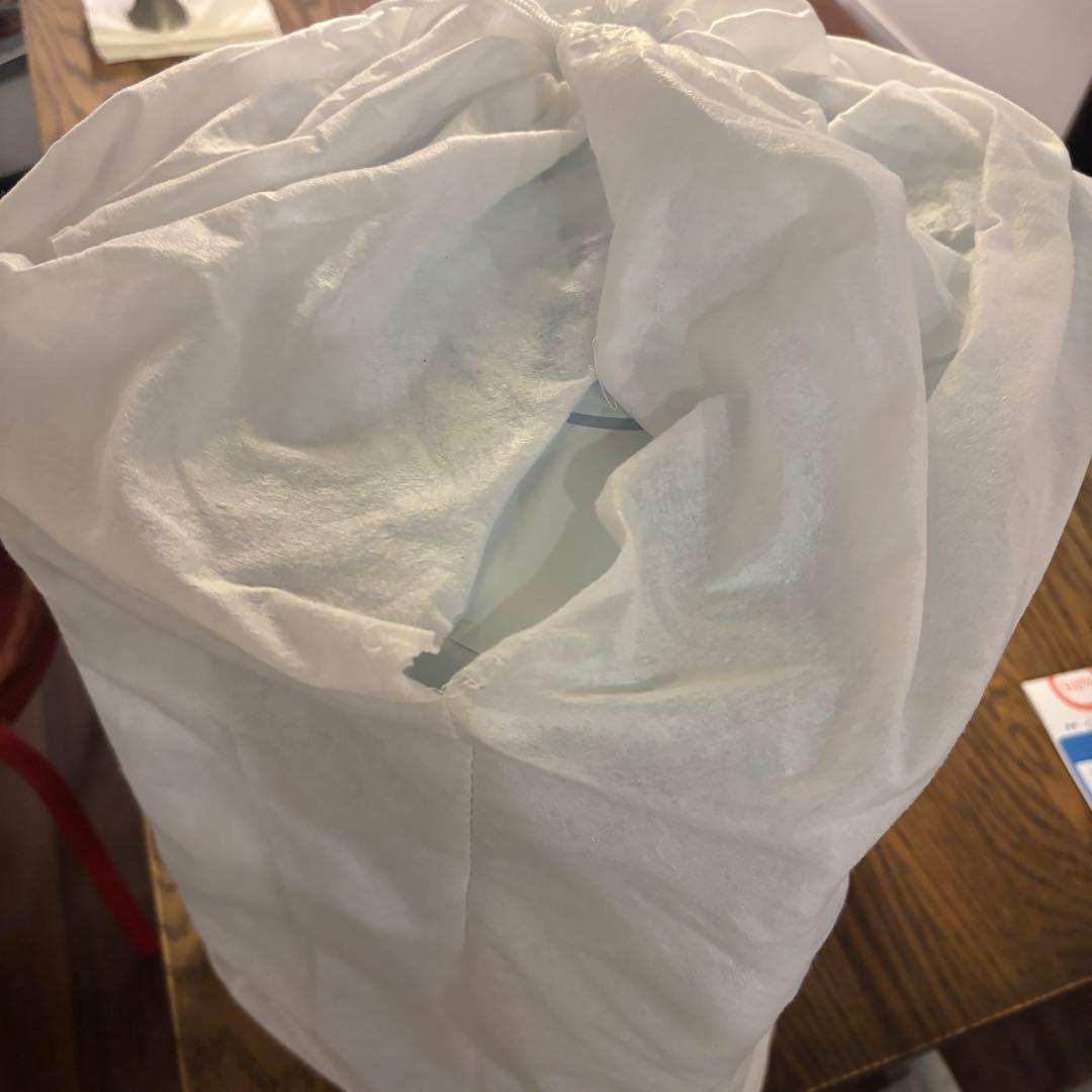 Daniel Arsham Pokémonダニエルアーシャム ピカチュー