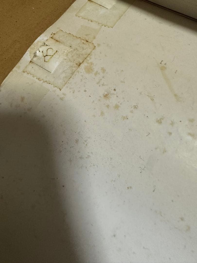 【最終値下】バイオハザードアウトブレイクポスター店頭掲示済 (傷汚れアリ