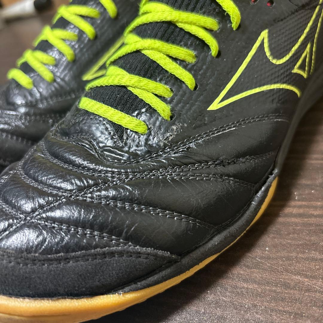 モレリア サラ β