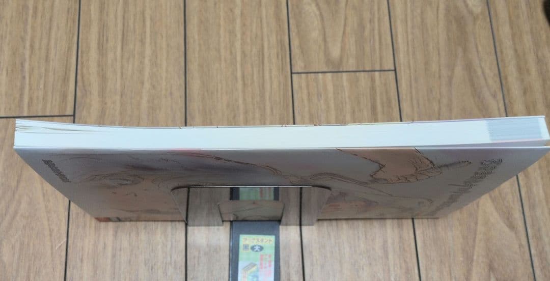 西荻窪駅徒歩20分2LDK敷礼2ヶ月ペット不可　資料集　原画集