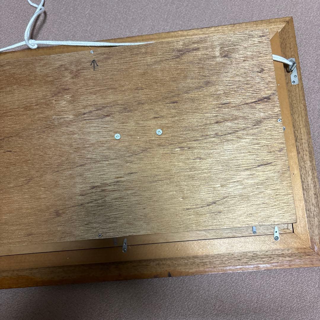 岩魚標本 イワナ　剥製　川魚　清流魚