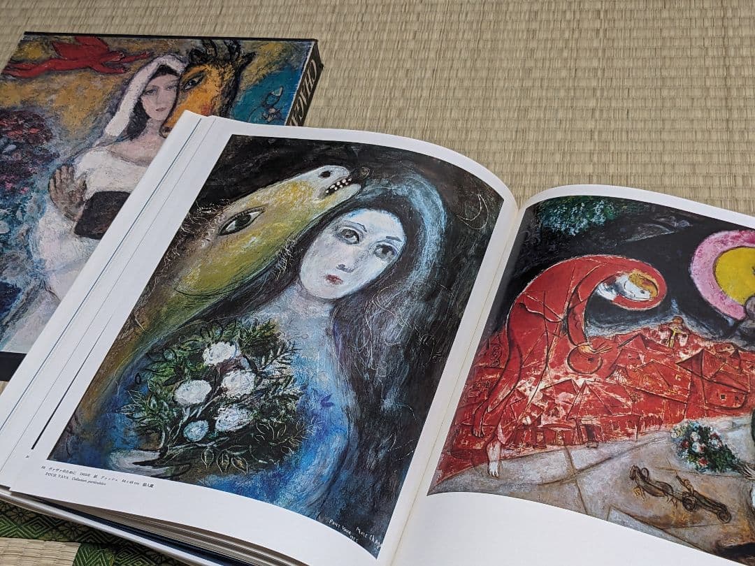 現代世界美術全集 初版 全25巻②