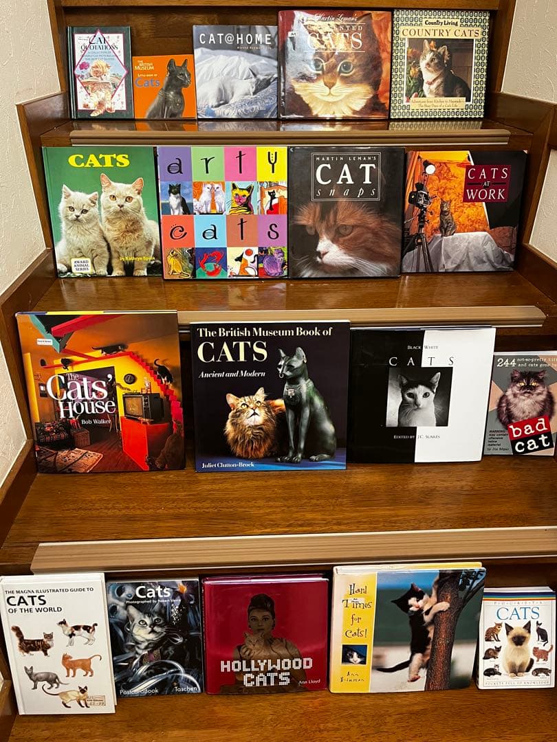 超希少 猫 洋書 画集 写真集 コレクション まとめ売り50冊