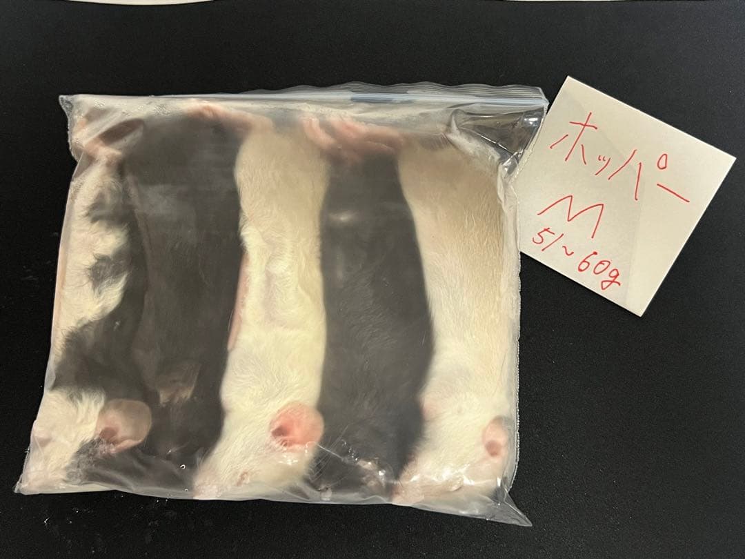 【即購入OK！】国産冷凍ラットホッパーM20匹入@地域限定