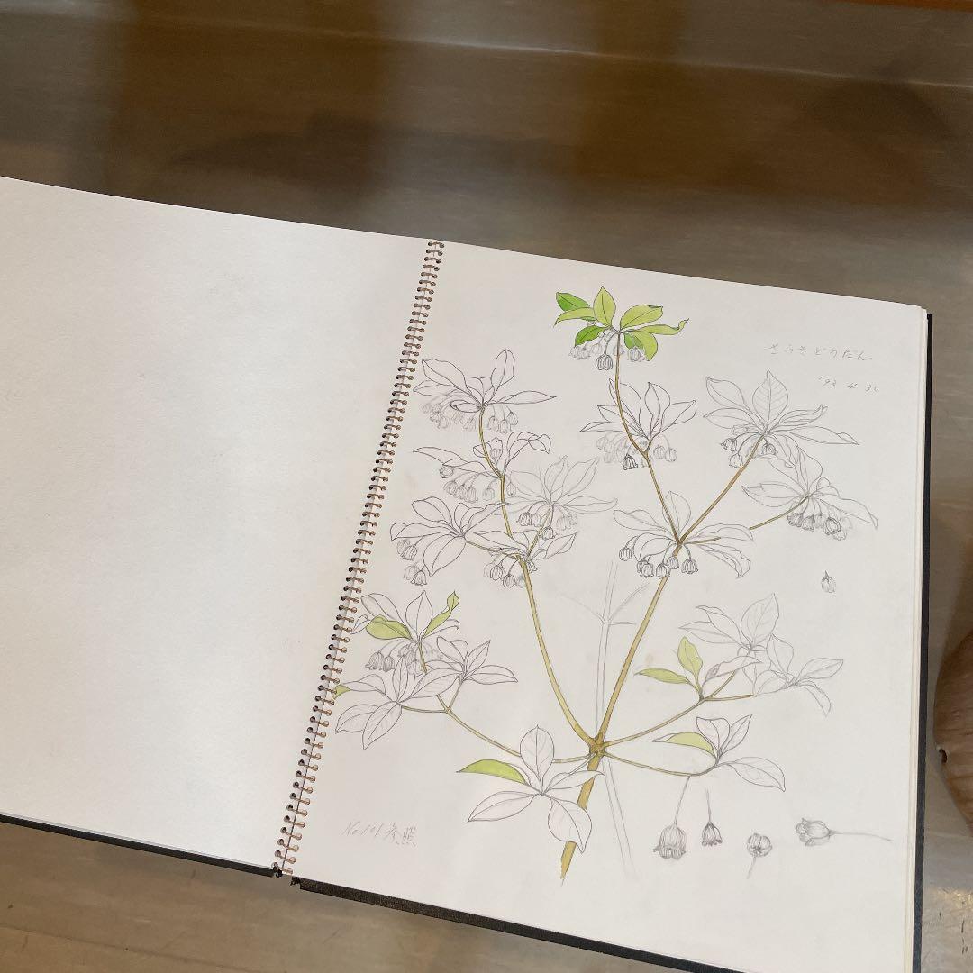 河村大蔵　蔵石　スケッチブック