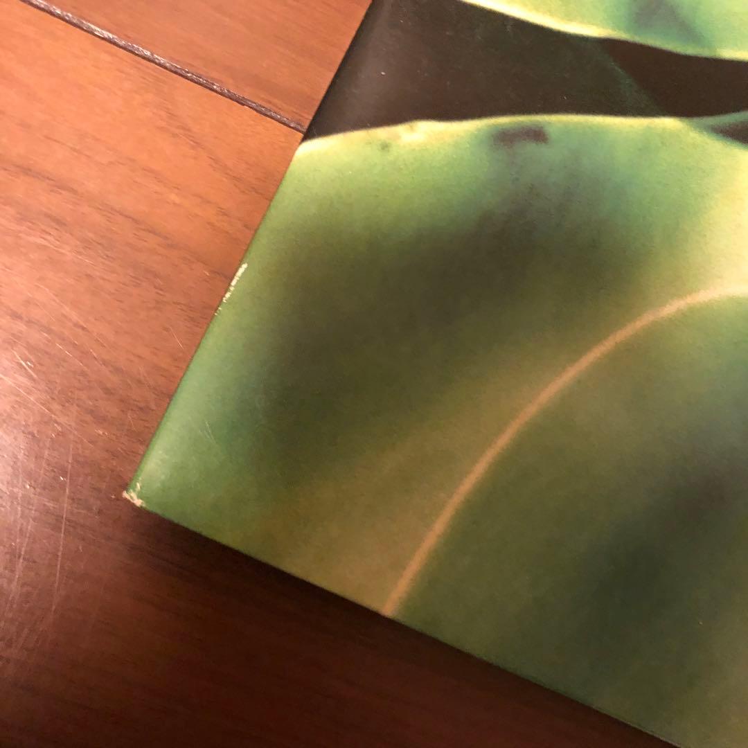 レコード　exciter