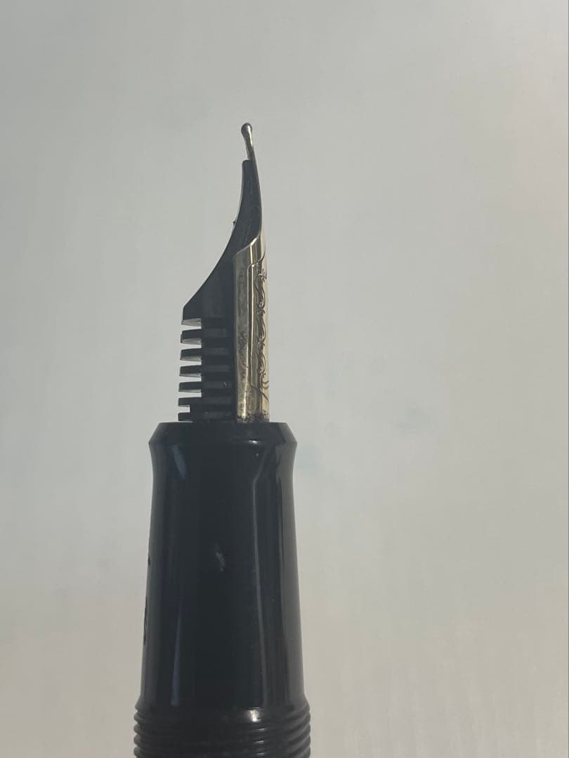 パイロット　カスタムカエデ　万年筆　中字