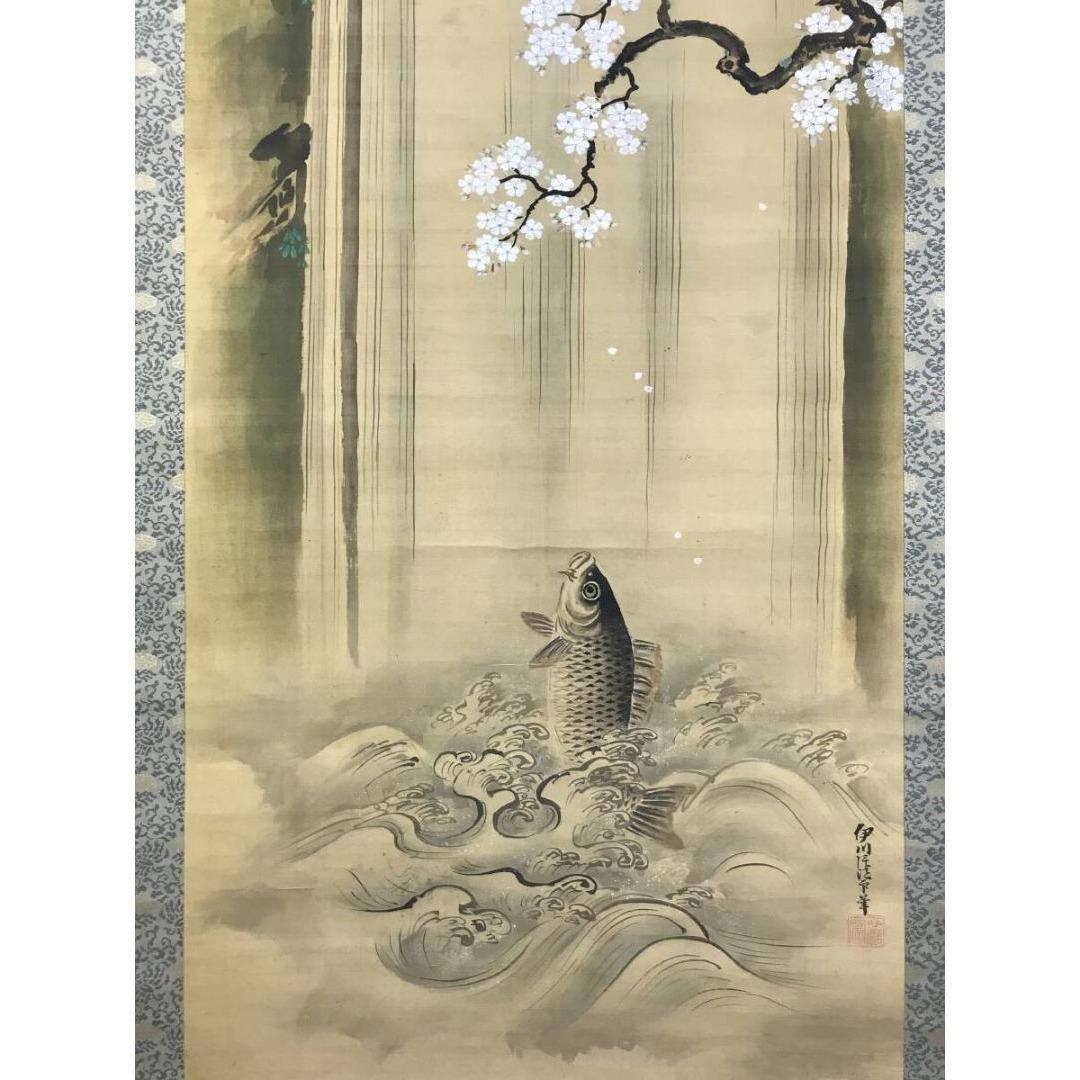 真作/狩野伊川院/滝昇鯉図/桜図/鯉図/コイ図/掛軸☆宝船☆AK-309