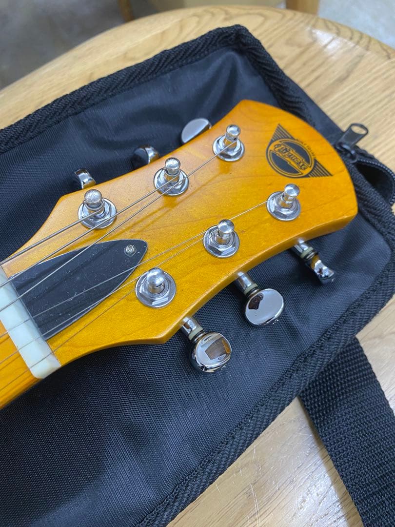 Pignose ピグノーズ エレキギター　ソフトケース付