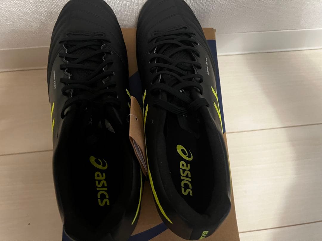 シューズ DS LIGHT X-FLY PRO