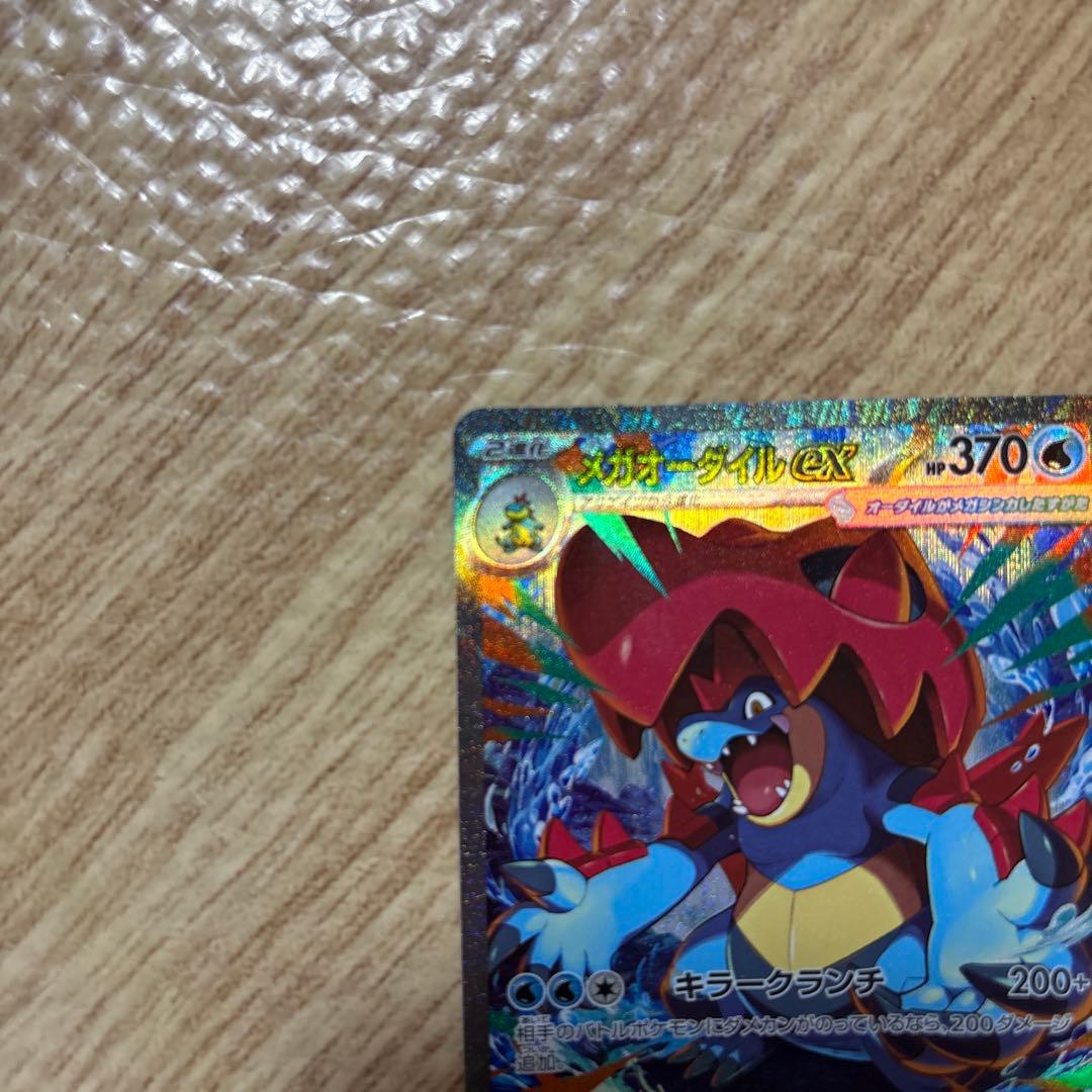 ポケモンカードデッキ 101/100